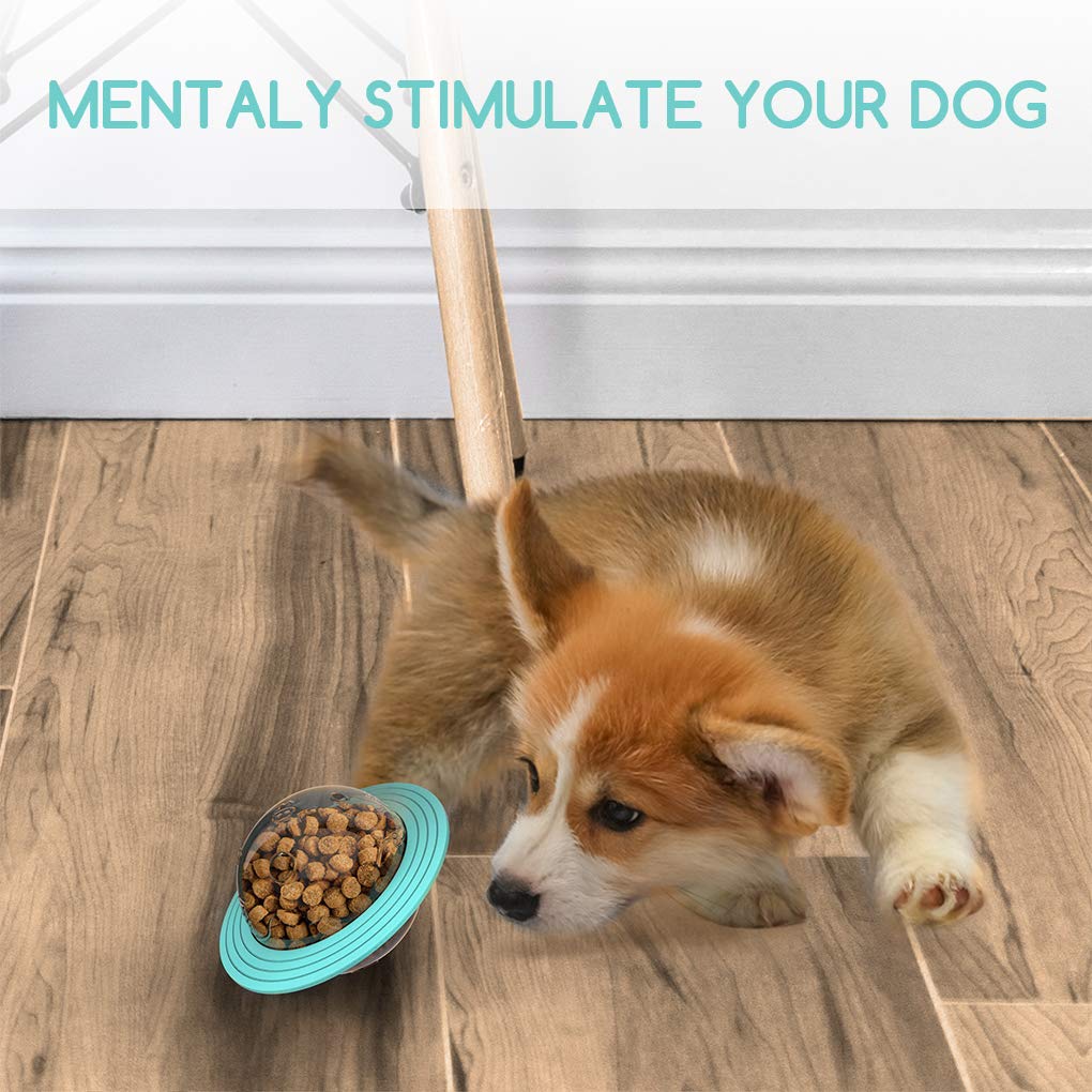 Dog Food Dispensing Frisbee